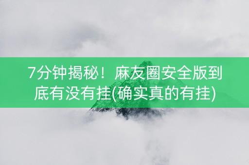 7分钟揭秘！麻友圈安全版到底有没有挂(确实真的有挂)