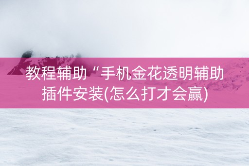 教程辅助“手机金花透明辅助插件安装(怎么打才会赢)