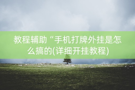 教程辅助“手机打牌外挂是怎么搞的(详细开挂教程)