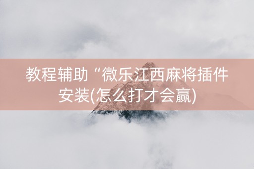 教程辅助“微乐江西麻将插件安装(怎么打才会赢)