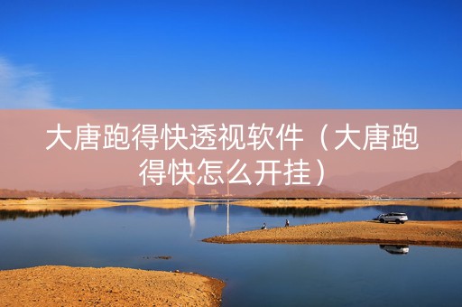大唐跑得快透视软件（大唐跑得快怎么开挂）