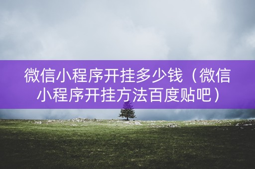 微信小程序开挂多少钱（微信小程序开挂方法百度贴吧）