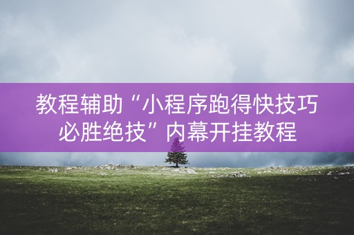 教程辅助“小程序跑得快技巧必胜绝技”内幕开挂教程
