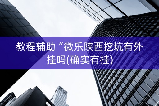 教程辅助“微乐陕西挖坑有外挂吗(确实有挂)