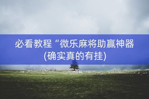 必看教程“微乐麻将助赢神器(确实真的有挂)