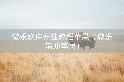 微乐软件开挂教程苹果（微乐辅助苹果）