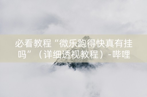 必看教程“微乐跑得快真有挂吗”（详细透视教程）-哔哩哔哩