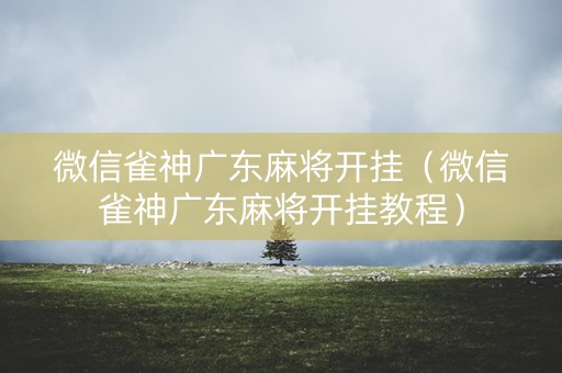 微信雀神广东麻将开挂（微信雀神广东麻将开挂教程）