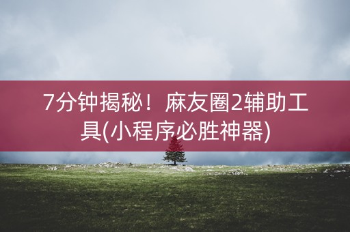 7分钟揭秘！麻友圈2辅助工具(小程序必胜神器)