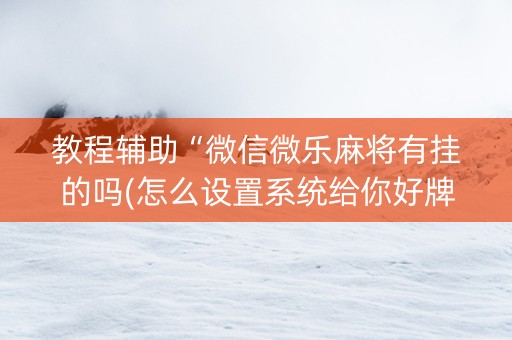 教程辅助“微信微乐麻将有挂的吗(怎么设置系统给你好牌)
