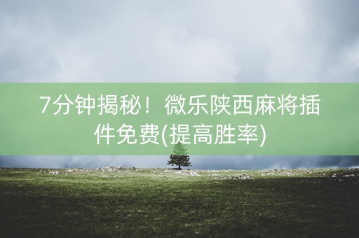 7分钟揭秘！微乐陕西麻将插件免费(提高胜率)