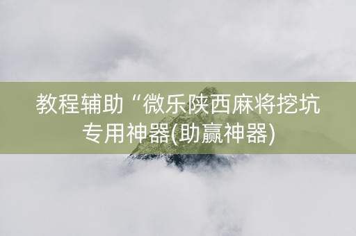 教程辅助“微乐陕西麻将挖坑专用神器(助赢神器)