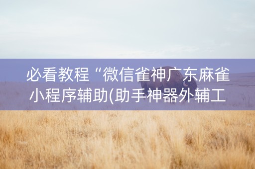 必看教程“微信雀神广东麻雀小程序辅助(助手神器外辅工具)