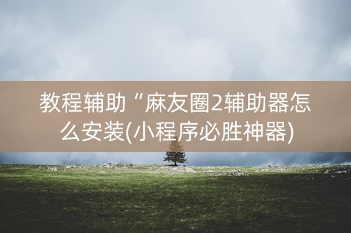教程辅助“麻友圈2辅助器怎么安装(小程序必胜神器)