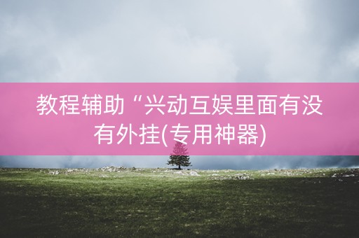 教程辅助“兴动互娱里面有没有外挂(专用神器)