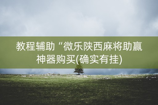 教程辅助“微乐陕西麻将助赢神器购买(确实有挂)