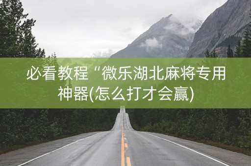必看教程“微乐湖北麻将专用神器(怎么打才会赢)