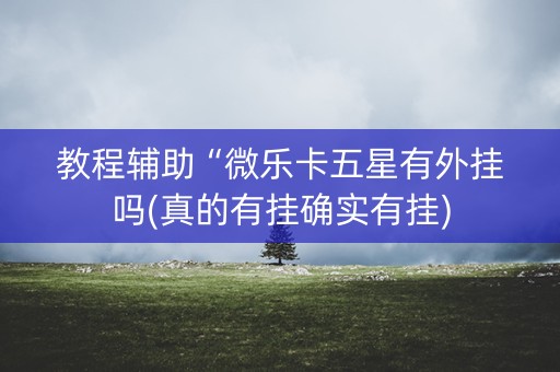 教程辅助“微乐卡五星有外挂吗(真的有挂确实有挂)