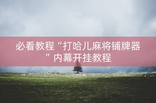必看教程“打哈儿麻将铺牌器”内幕开挂教程