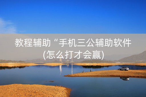 教程辅助“手机三公辅助软件(怎么打才会赢)