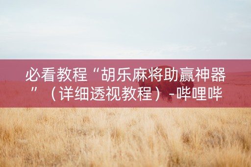 必看教程“胡乐麻将助赢神器”（详细透视教程）-哔哩哔哩