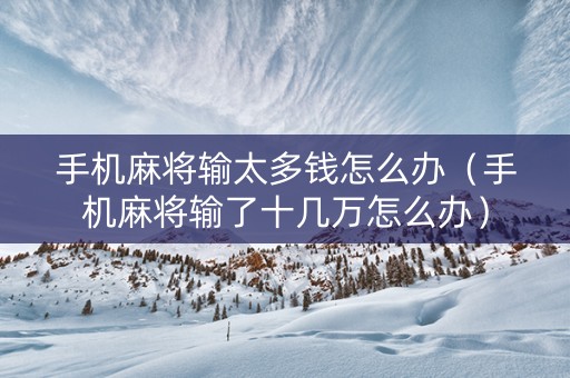 手机麻将输太多钱怎么办（手机麻将输了十几万怎么办）