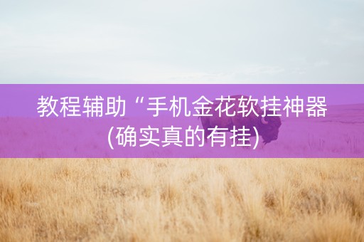 教程辅助“手机金花软挂神器(确实真的有挂)