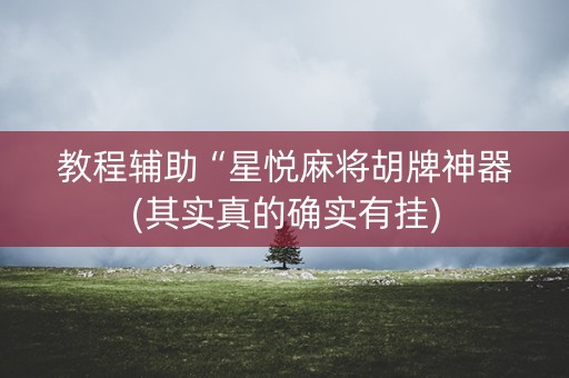 教程辅助“星悦麻将胡牌神器(其实真的确实有挂)