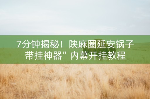 7分钟揭秘！陕麻圈延安锅子带挂神器”内幕开挂教程