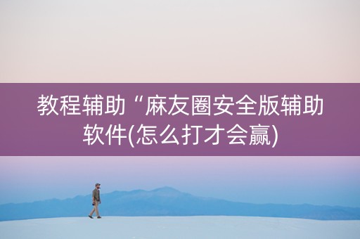 教程辅助“麻友圈安全版辅助软件(怎么打才会赢)