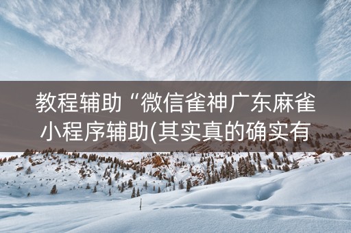 教程辅助“微信雀神广东麻雀小程序辅助(其实真的确实有挂)