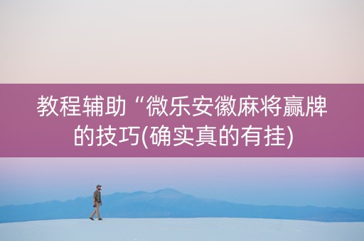 教程辅助“微乐安徽麻将赢牌的技巧(确实真的有挂)
