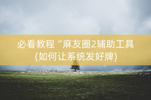 必看教程“麻友圈2辅助工具(如何让系统发好牌)