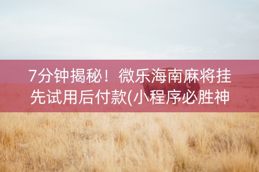 7分钟揭秘！微乐海南麻将挂先试用后付款(小程序必胜神器)