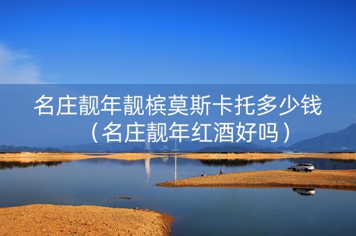 名庄靓年靓槟莫斯卡托多少钱（名庄靓年红酒好吗）