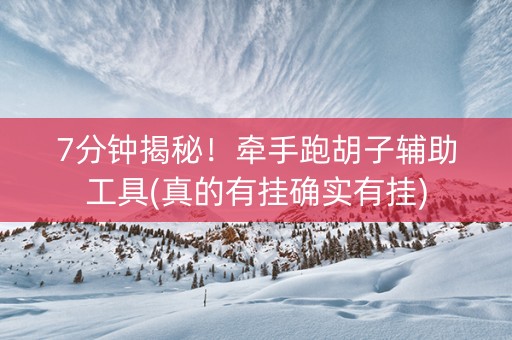 7分钟揭秘！牵手跑胡子辅助工具(真的有挂确实有挂)
