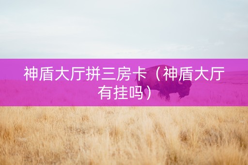 神盾大厅拼三房卡（神盾大厅有挂吗）