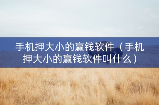 手机押大小的赢钱软件（手机押大小的赢钱软件叫什么）
