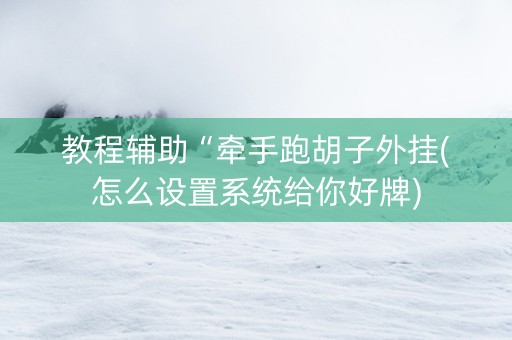 教程辅助“牵手跑胡子外挂(怎么设置系统给你好牌)