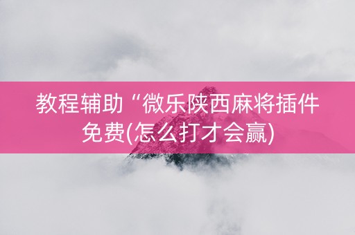 教程辅助“微乐陕西麻将插件免费(怎么打才会赢)