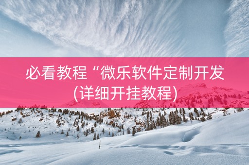 必看教程“微乐软件定制开发(详细开挂教程)