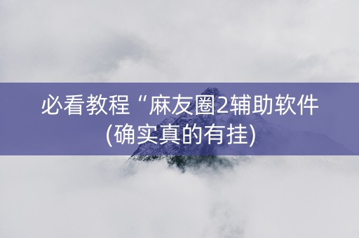 必看教程“麻友圈2辅助软件(确实真的有挂)