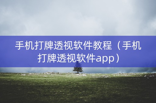 手机打牌透视软件教程（手机打牌透视软件app）