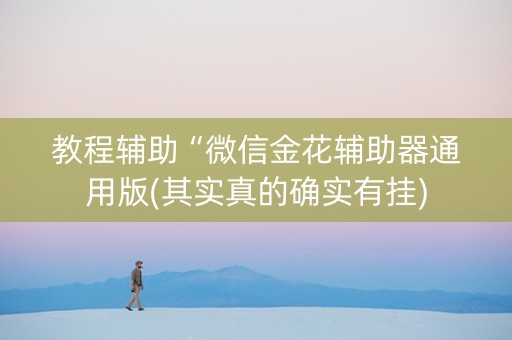教程辅助“微信金花辅助器通用版(其实真的确实有挂)