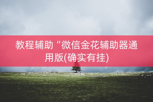 教程辅助“微信金花辅助器通用版(确实有挂)