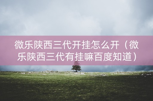 微乐陕西三代开挂怎么开（微乐陕西三代有挂嘛百度知道）