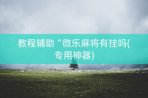教程辅助“微乐麻将有挂吗(专用神器)