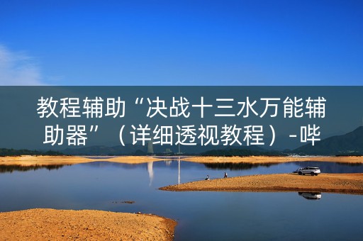 教程辅助“决战十三水万能辅助器”（详细透视教程）-哔哩哔哩