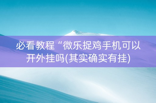 必看教程“微乐捉鸡手机可以开外挂吗(其实确实有挂)