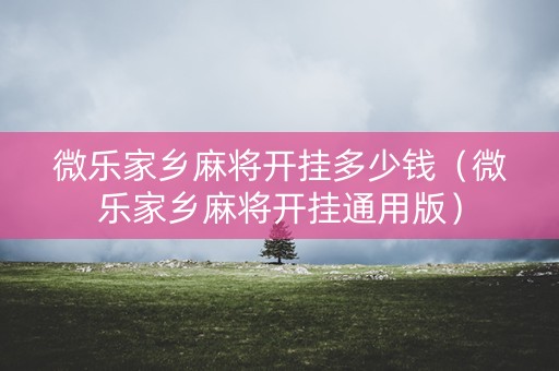 微乐家乡麻将开挂多少钱（微乐家乡麻将开挂通用版）